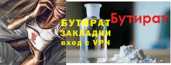 индика Алексин