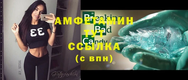 индика Алексин
