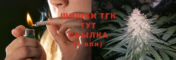 молекула духа Алексеевка