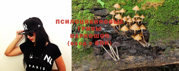 молекула духа Алексеевка