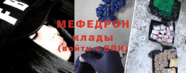 индика Алексин
