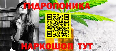 герыч Кингисепп