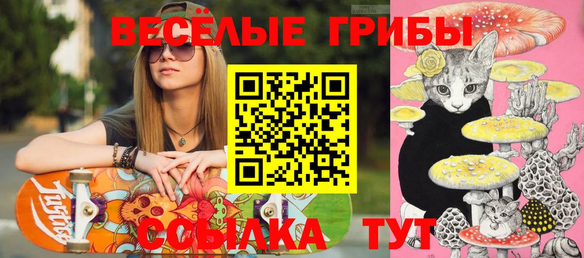 Псилоцибиновые грибы мухоморы  Галлюциногенные грибы GOLDEN TEACHER  Вход с VPN  Коркино 