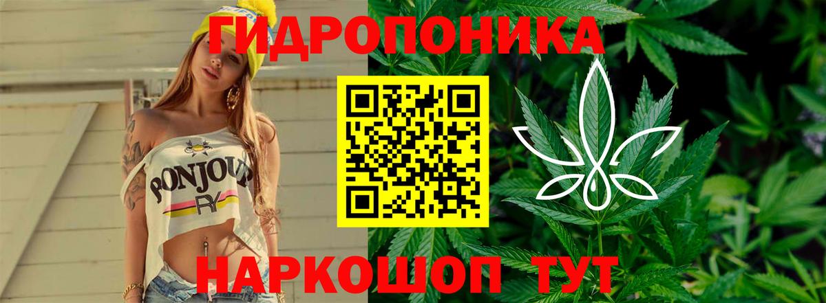 Канабис план  Шишки марихуана планчик  Коркино  Вход с VPN  Марихуана марихуана 